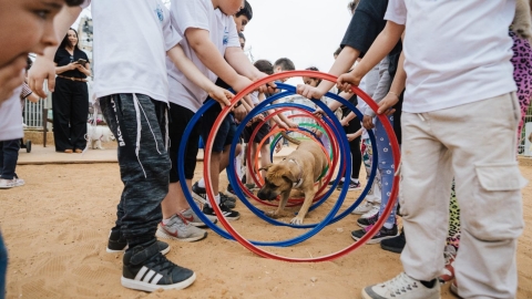 גינת דקר2.jpg