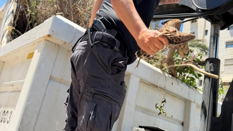 מאחורי העשייה היומיומית שני סיפורי חילוץ מרגשים של המחלקה הווטרינרית בעיריית בת-ים4.jpeg