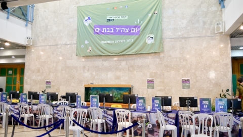 ורד מגנטים (3).jpg